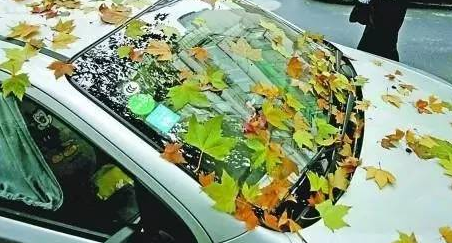 秋季檢查這7 個(gè)部件讓愛(ài)車(chē)告別8個(gè)夏季“后遺癥” 秋季檢查這7 個(gè)部件讓愛(ài)車(chē)告別8個(gè)夏季“后遺癥”