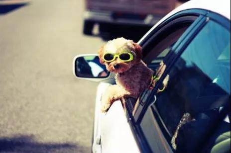 你所不知道的真相，車(chē)窗保養有多重要