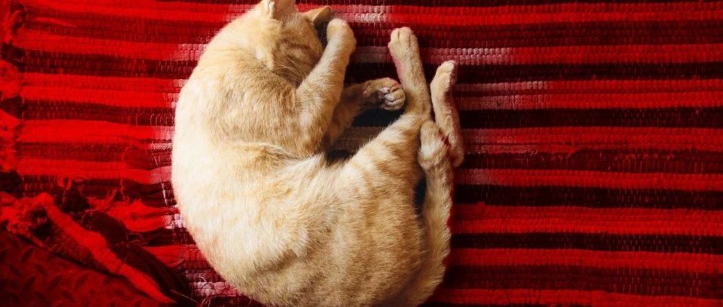 人類(lèi)發(fā)展的動(dòng)力，除了懶，還有對舒適的追求