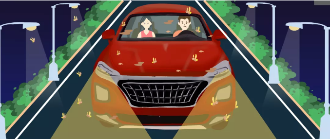 安全清除車(chē)身飛蟲(chóng)，僅需十分鐘