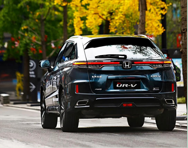 暢游樂(lè )逸蓉城，感受市井“慢生活”