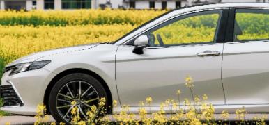 丨廣汽豐田天嬌寶慶店丨全新凱美瑞智能陪伴，將帶你馭見(jiàn)絕美婺源