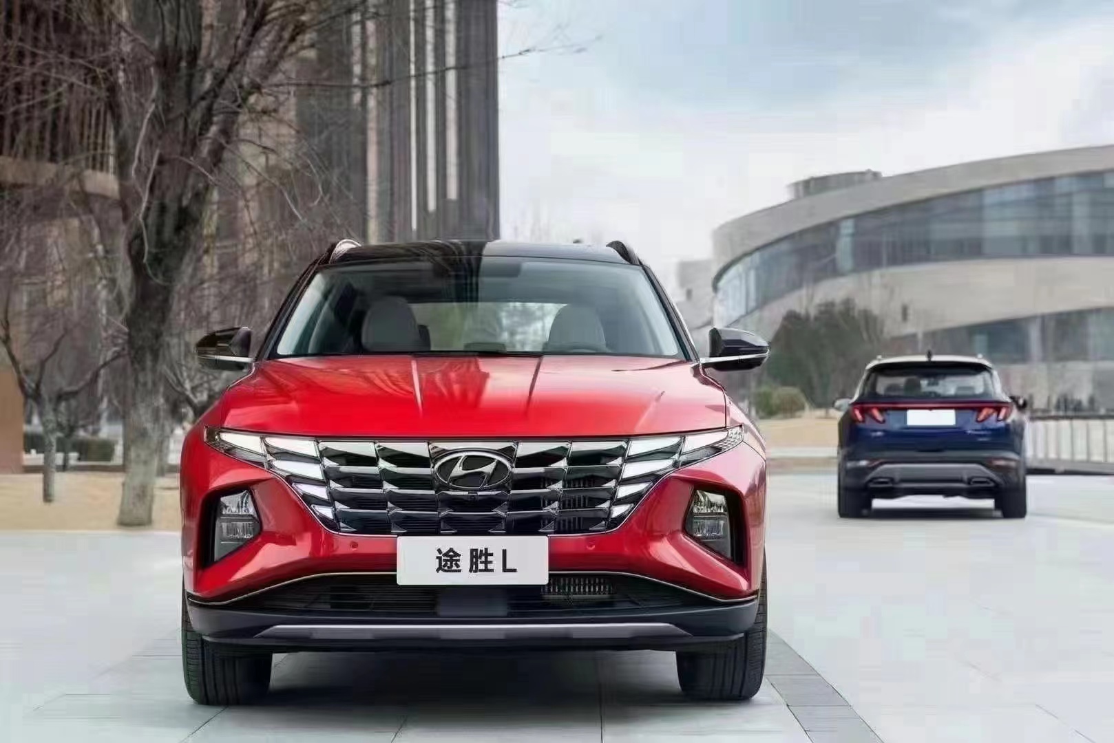 如何呵護家人，看這兒！