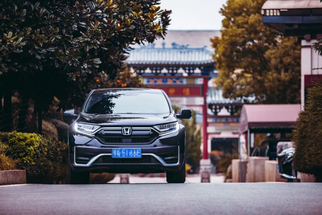 本人有料 | 愿歷經(jīng)千帆，歸來(lái)仍是少年